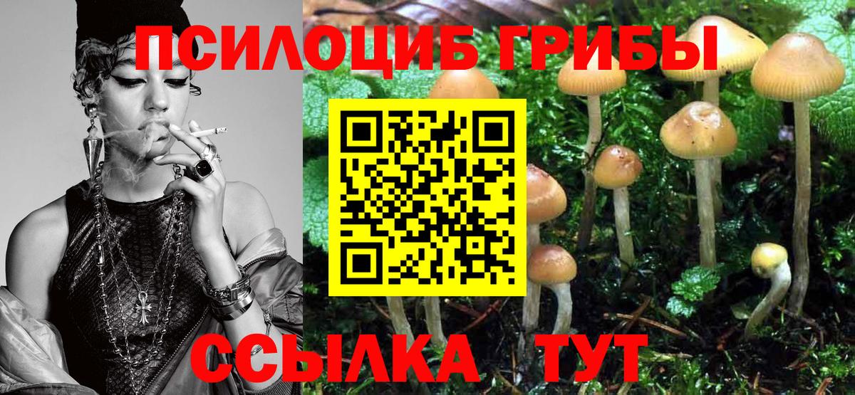 Галлюциногенные грибы MAGIC MUSHROOMS  Вход с VPN  Среднеуральск  Галлюциногенные грибы MAGIC MUSHROOMS 